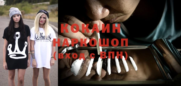 шишки Богородск