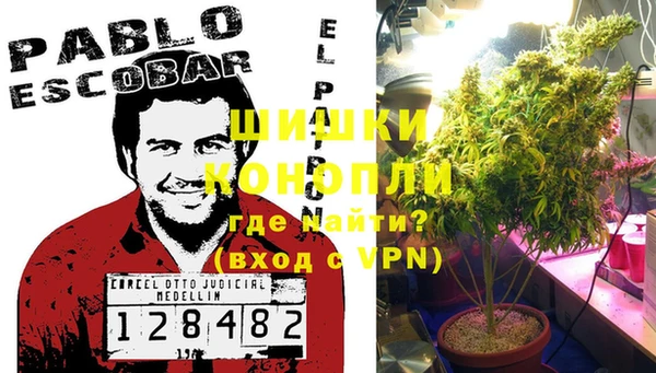 ПСИЛОЦИБИНОВЫЕ ГРИБЫ Богданович