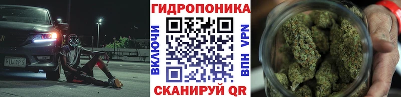 МЕГА маркетплейс  Дигора  Каннабис White Widow 